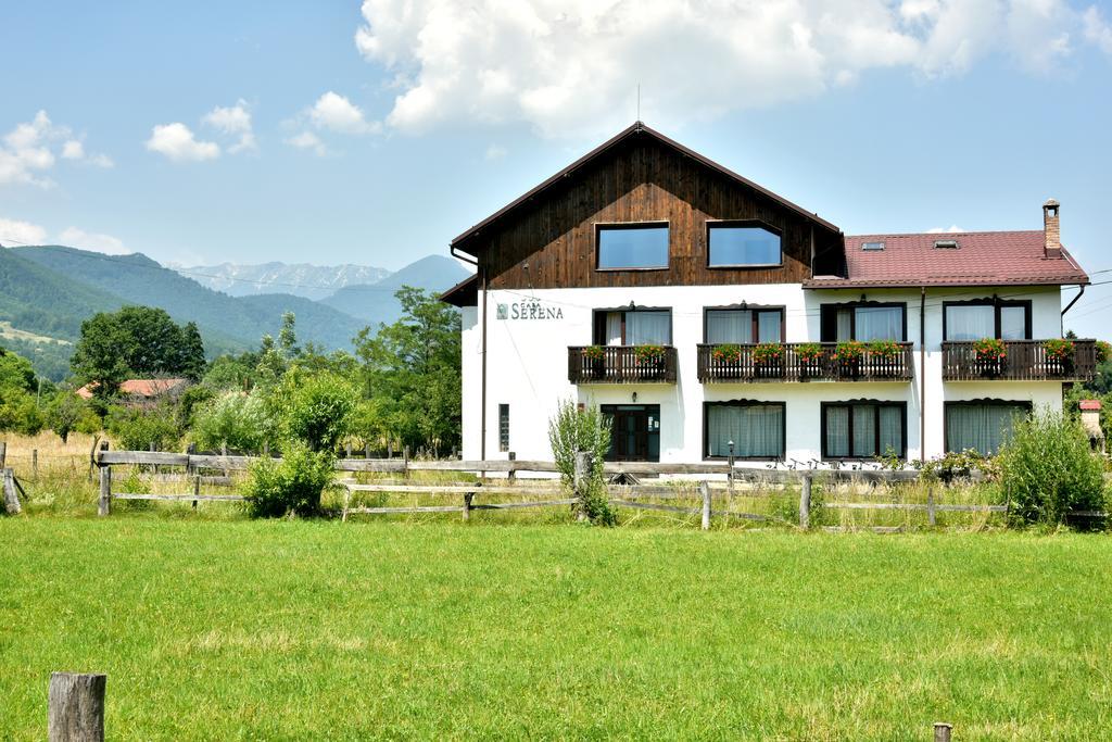 Serena Guesthouse Bran 브란 외부 사진