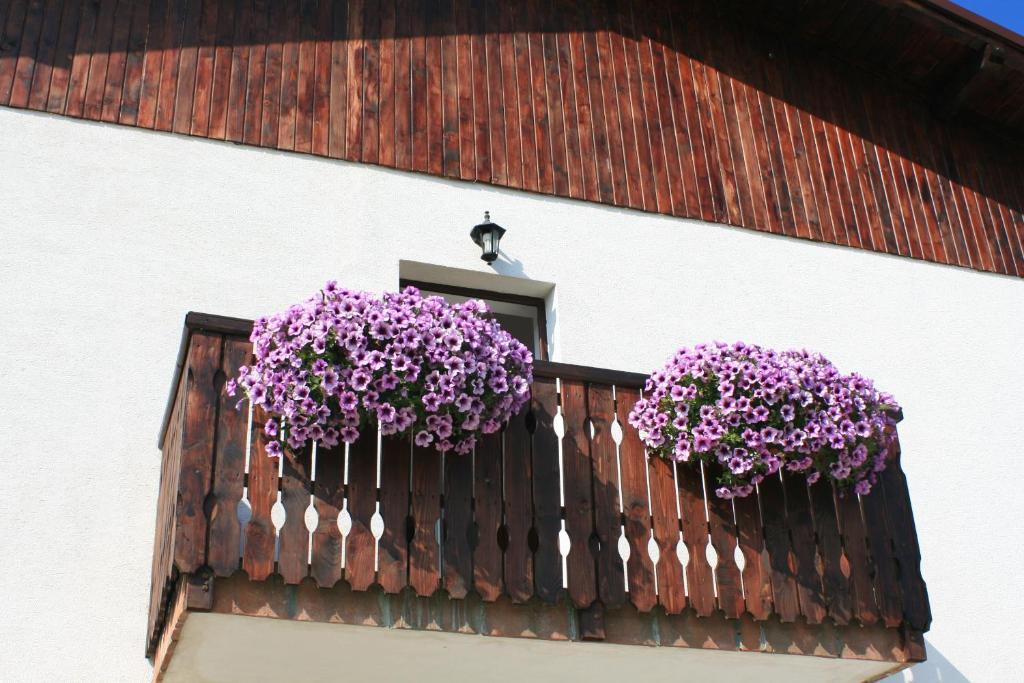 Serena Guesthouse Bran 브란 외부 사진